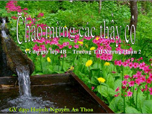 Tuần 15. Tuổi Ngựa