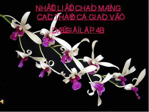 Tuần 4. Tre Việt Nam
