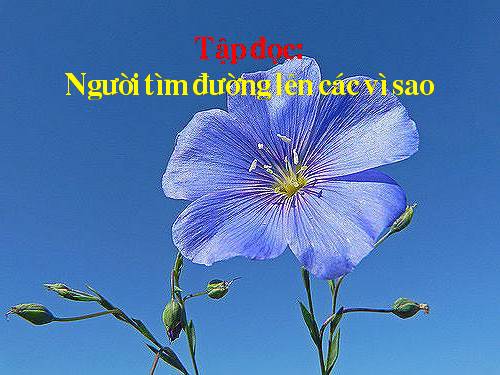 Tuần 13. Người tìm đường lên các vì sao