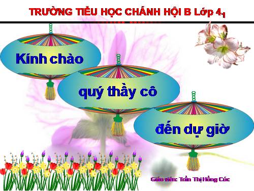 Tuần 15. Tuổi Ngựa