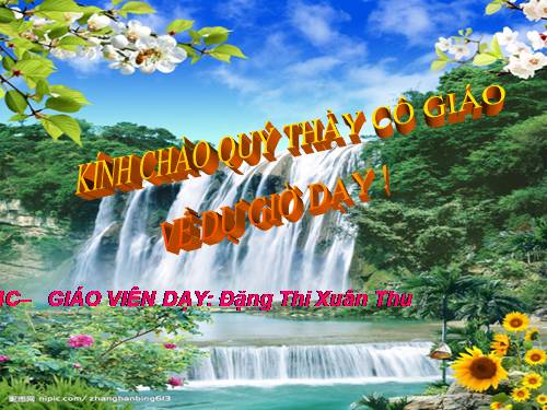 Tuần 12. Vua tàu thủy Bạch Thái Bưởi