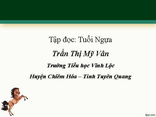 Tuần 15. Tuổi Ngựa
