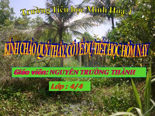 Tuần 12. Vua tàu thủy Bạch Thái Bưởi