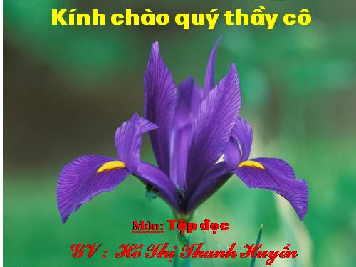 Tuần 8. Đôi giày ba ta màu xanh