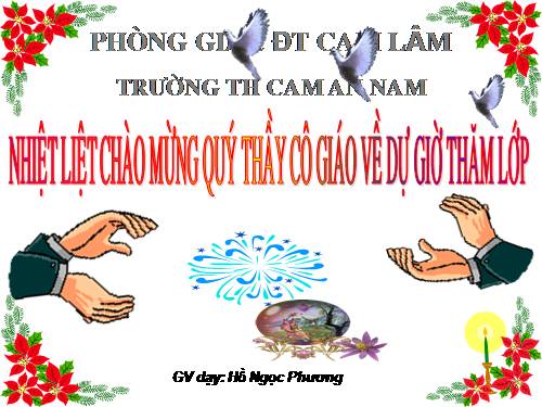 Tuần 29. Đường đi Sa Pa