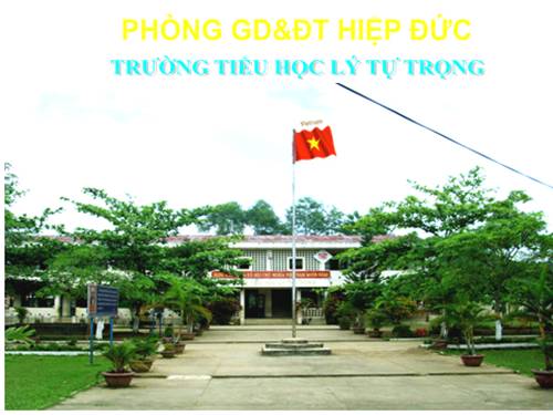 Tuần 12. Vẽ trứng