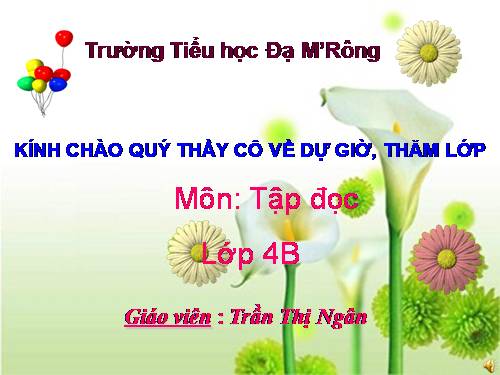 Tuần 8. Đôi giày ba ta màu xanh