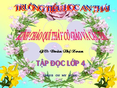 Tuần 15. Tuổi Ngựa