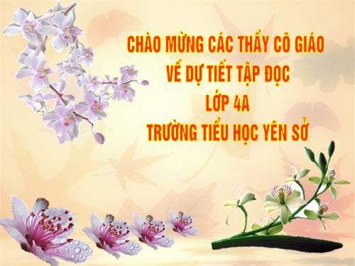 Tuần 4. Một người chính trực