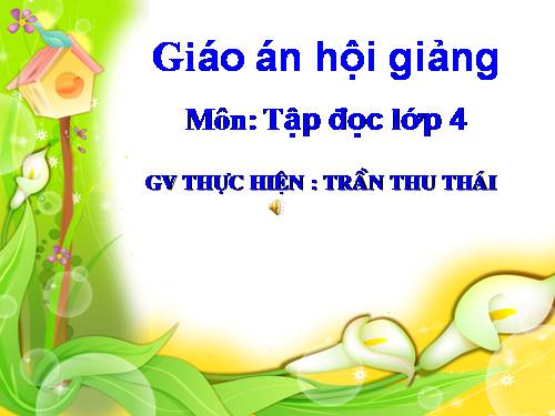 Tuần 11. Ông Trạng thả diều