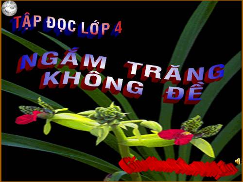 Tuần 32. Ngắm trăng. Không đề