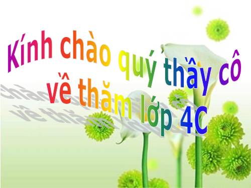 Tuần 8. Đôi giày ba ta màu xanh