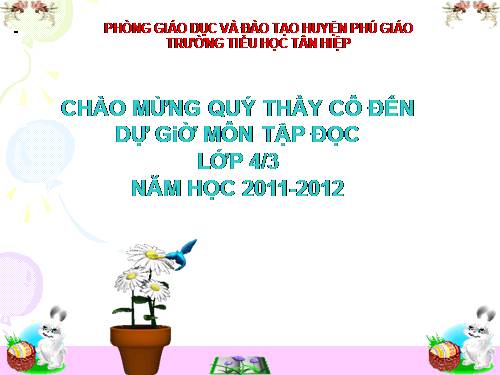 Tuần 15. Tuổi Ngựa