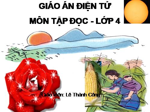 Tuần 23. Khúc hát ru những em bé lớn trên lưng mẹ