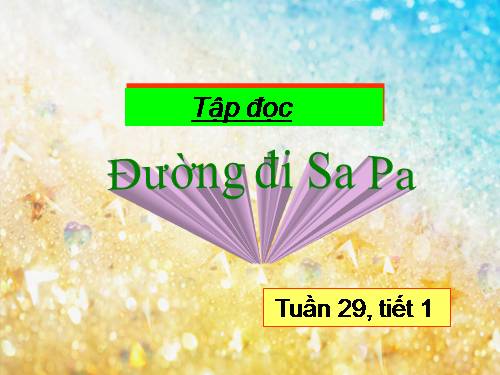 Tuần 29. Đường đi Sa Pa