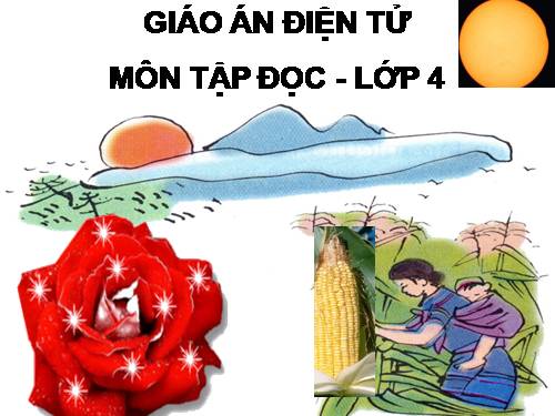 Tuần 23. Khúc hát ru những em bé lớn trên lưng mẹ