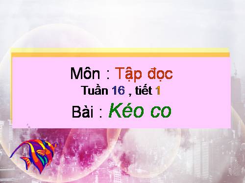 Tuần 16. Kéo co