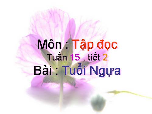 Tuần 15. Tuổi Ngựa