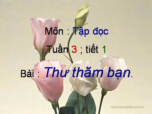 Tuần 3. Thư thăm bạn