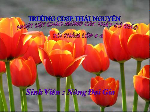 Tuần 27. Dù sao trái đất vẫn quay!