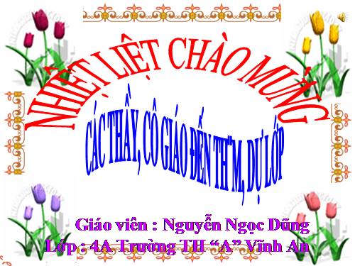 Tuần 27. Dù sao trái đất vẫn quay!