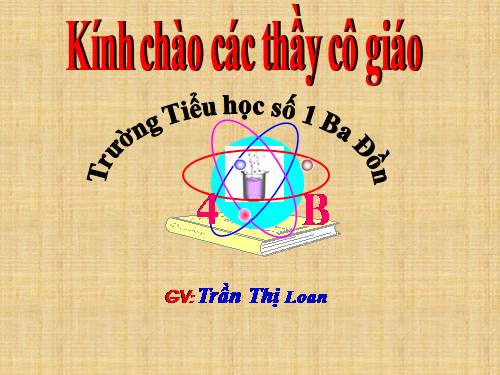 Tuần 15. Tuổi Ngựa