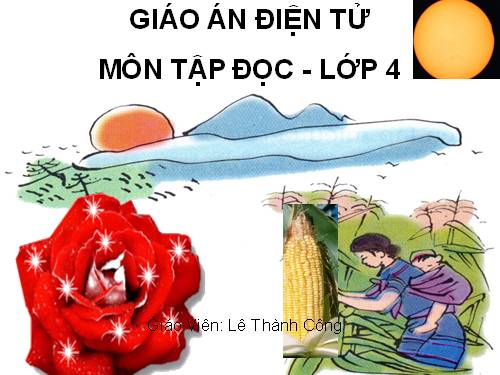 Tuần 23. Khúc hát ru những em bé lớn trên lưng mẹ