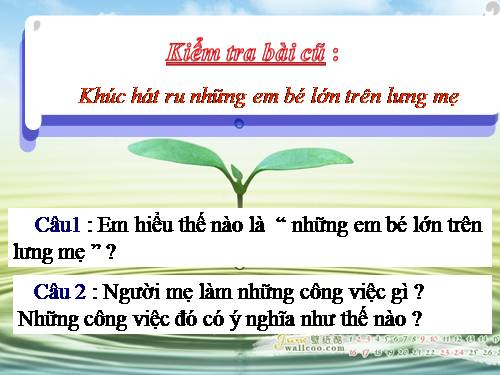 Tuần 24. Vẽ về cuộc sống an toàn