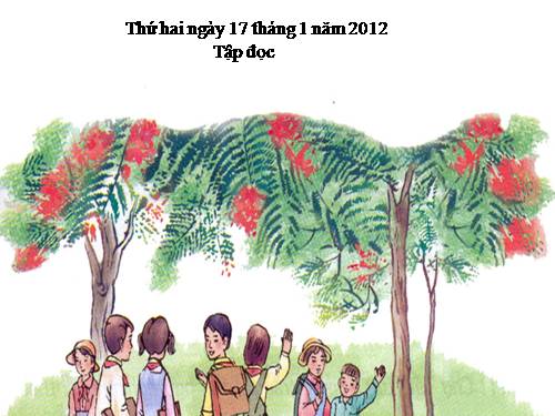 Tuần 23. Hoa học trò