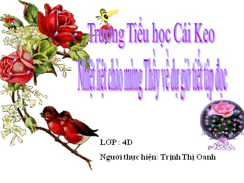 Tuần 23. Khúc hát ru những em bé lớn trên lưng mẹ