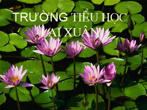 Tuần 25. Khuất phục tên cướp biển