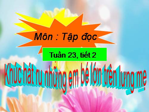 Tuần 23. Khúc hát ru những em bé lớn trên lưng mẹ