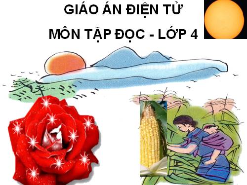 Tuần 23. Khúc hát ru những em bé lớn trên lưng mẹ