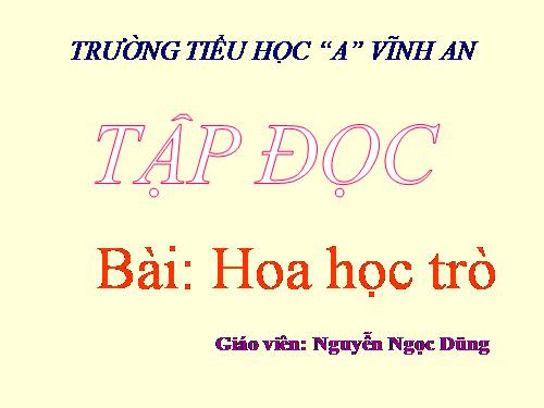 Tuần 23. Hoa học trò