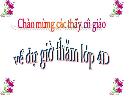 Tuần 22. Chợ Tết