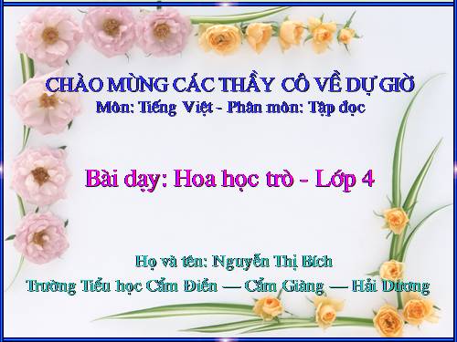 Tuần 23. Hoa học trò