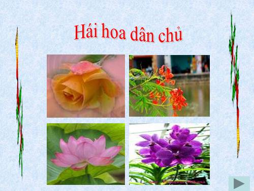 Tuần 12. Vẽ trứng