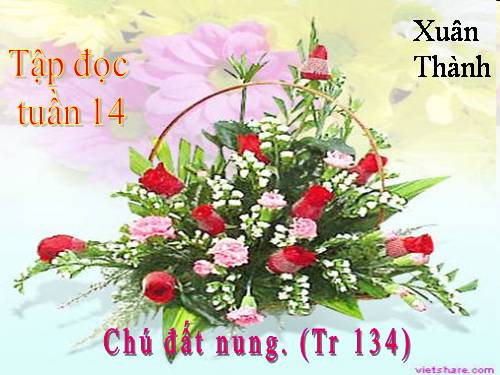 Tuần 14. Chú Đất Nung