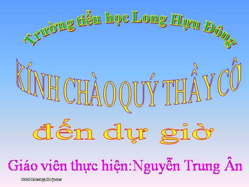 Tuần 12. Vẽ trứng