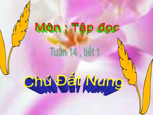 Tuần 14. Chú Đất Nung