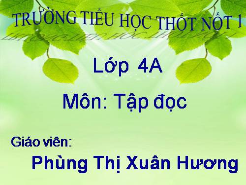 Tuần 24. Vẽ về cuộc sống an toàn