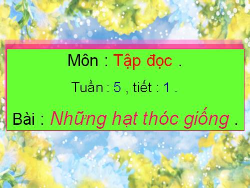 Tuần 5. Những hạt thóc giống