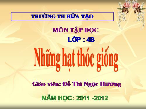 Tuần 5. Những hạt thóc giống