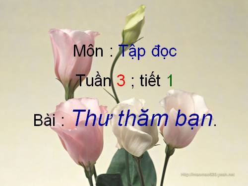 Tuần 3. Thư thăm bạn