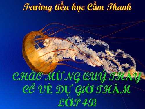 Tuần 7. Ở Vương quốc Tương Lai