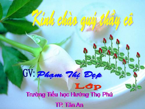 Tuần 8. Đôi giày ba ta màu xanh