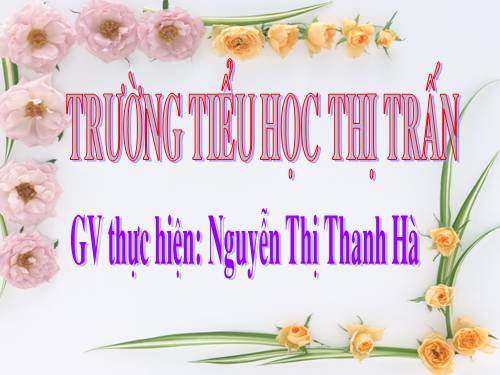 Tuần 23. Hoa học trò