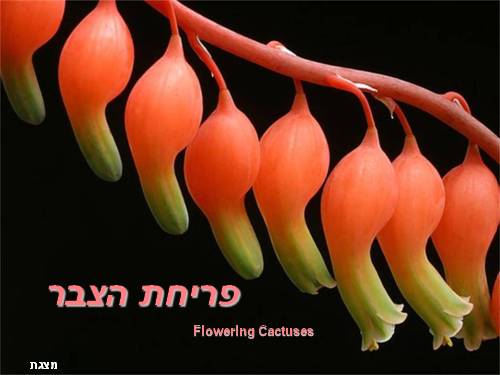 Học cách làm người