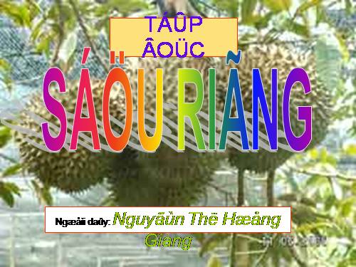 Tuần 22. Sầu riêng