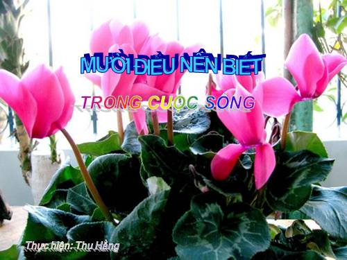 10 điều nên biết trong cuộc sống